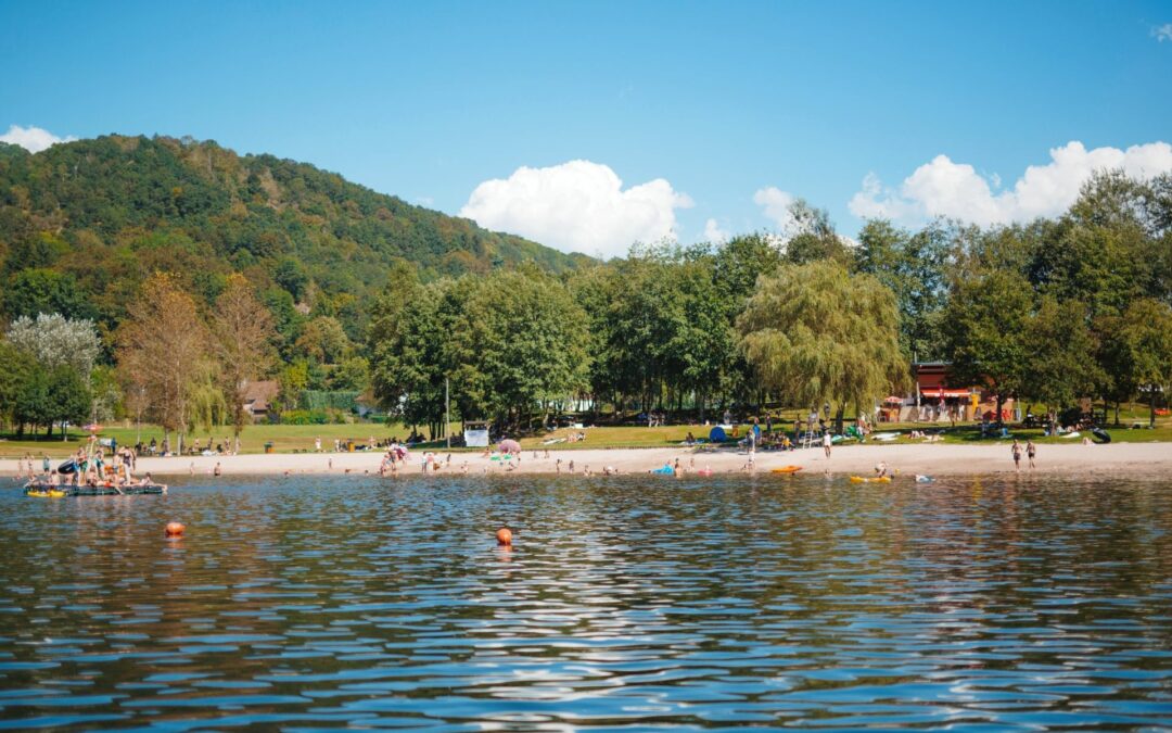 Pêche au coup dans les Vosges : une activité accessible et relaxante